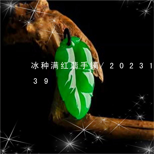 冰种满红翡手镯/2023101641839