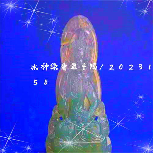 冰种绿翡翠手镯/2023121508258