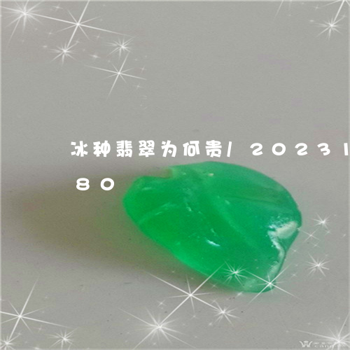 冰种翡翠为何贵/2023121676580