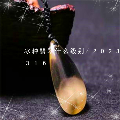 冰种翡翠什么级别/2023042644316