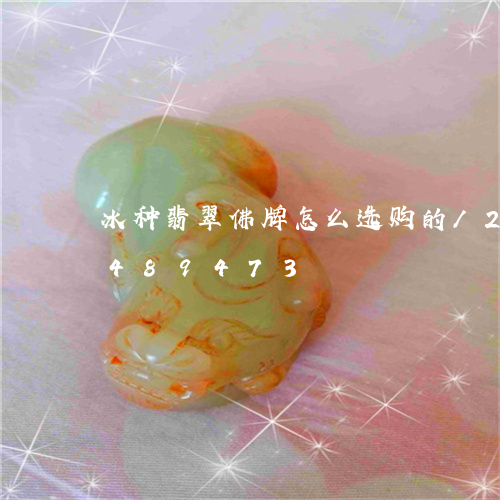 冰种翡翠佛牌怎么选购的/2023111489473