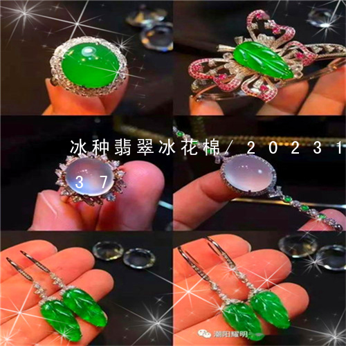 冰种翡翠冰花棉/2023101774037