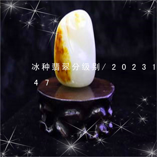 冰种翡翠分级别/2023101706147