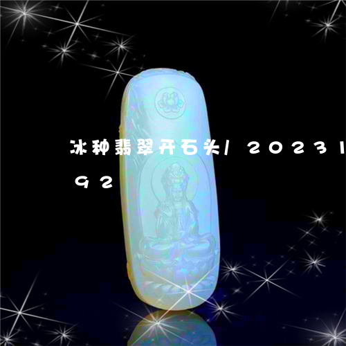 冰种翡翠开石头/2023101710692