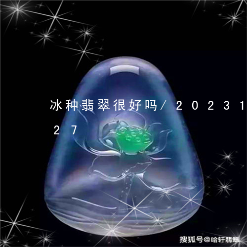 冰种翡翠很好吗/2023121653827