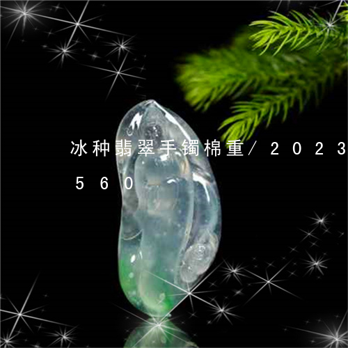 冰种翡翠手镯棉重/2023042609560