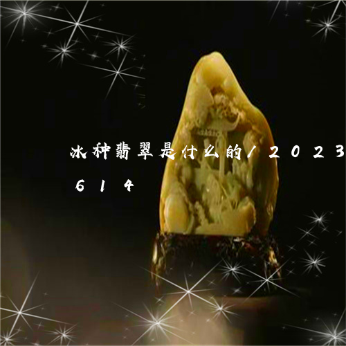 冰种翡翠是什么的/2023042672614