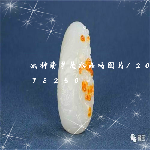 冰种翡翠是水晶吗图片/2023112478250