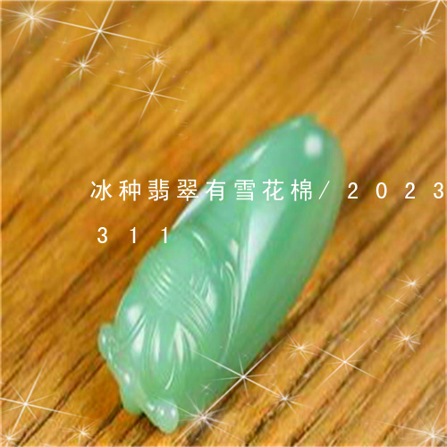 冰种翡翠有雪花棉/2023042637311