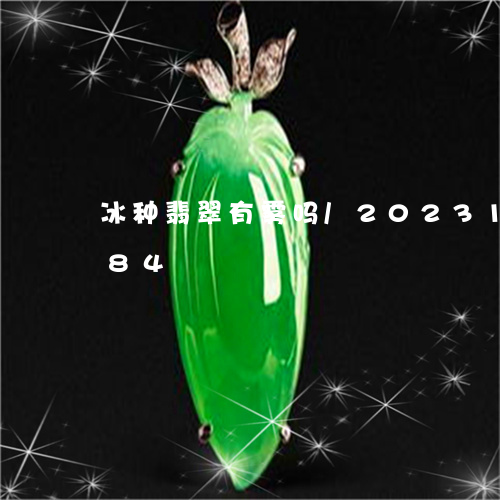 冰种翡翠有雾吗/2023121646384