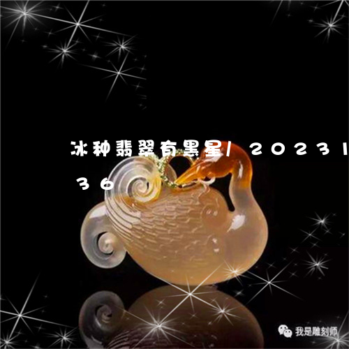 冰种翡翠有黑星/2023121691836