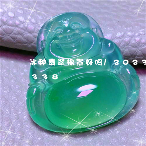 冰种翡翠棉絮好吗/2023042617338