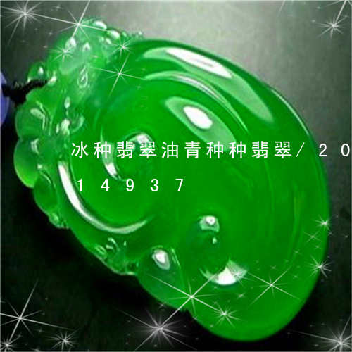 冰种翡翠油青种种翡翠/2023090714937