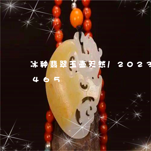 冰种翡翠玉壶天然/2023042526465