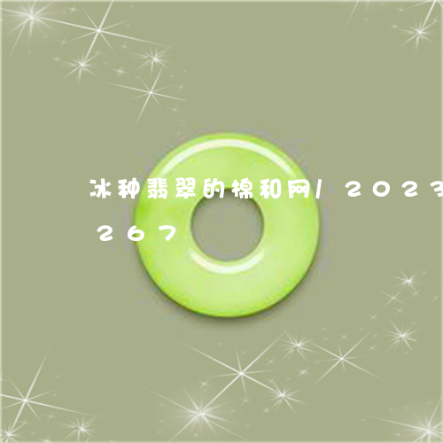 冰种翡翠的棉和网/2023042519267