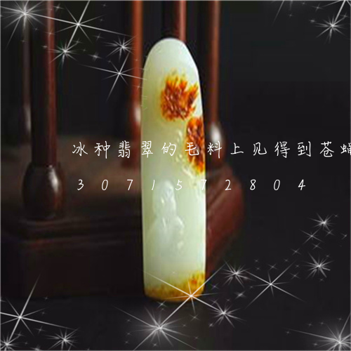 冰种翡翠的毛料上见得到苍蝇翅吗/2023071572804