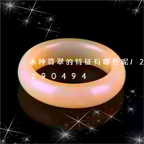 冰种翡翠的特征有哪些呢/2023110290494