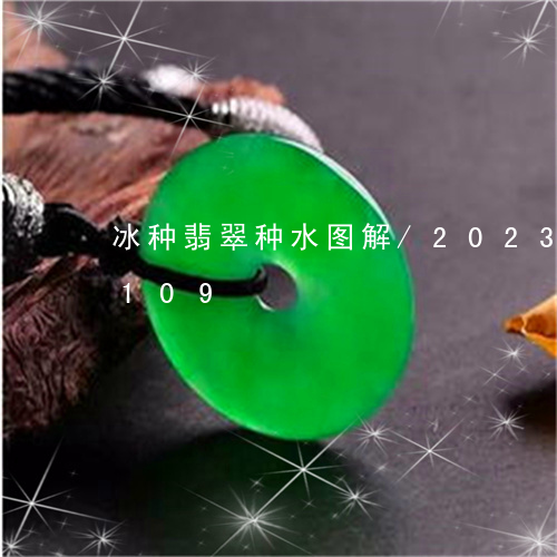 冰种翡翠种水图解/2023042549109