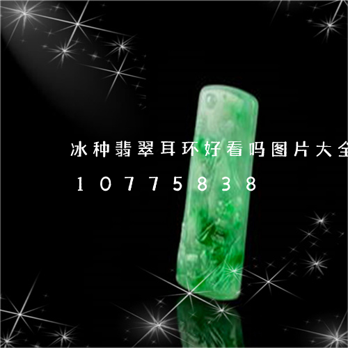 冰种翡翠耳环好看吗图片大全/2023110775838