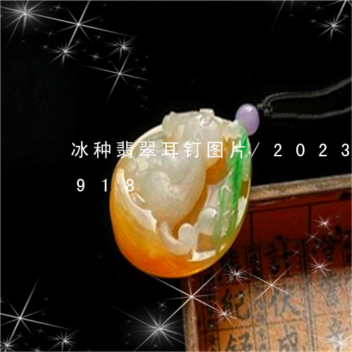 冰种翡翠耳钉图片/2023042567918