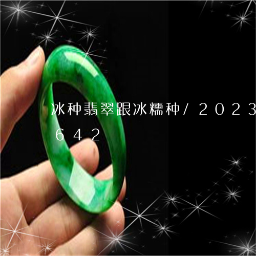 冰种翡翠跟冰糯种/2023042561642