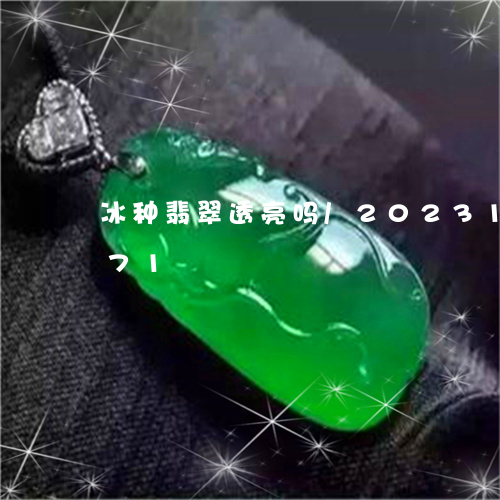 冰种翡翠透亮吗/2023121559471