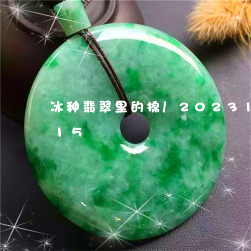 冰种翡翠里的棉/2023121592615