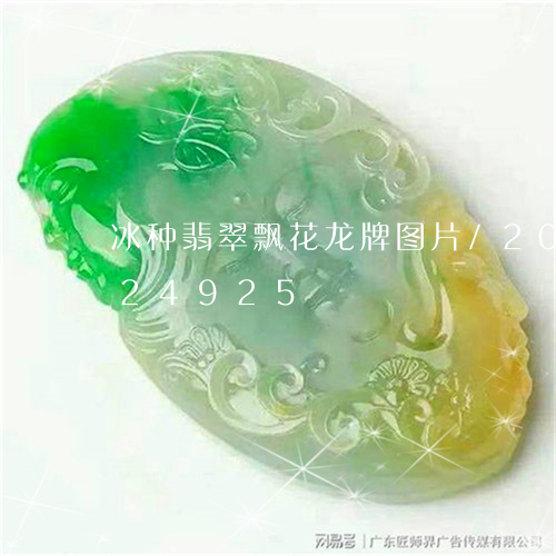 冰种翡翠飘花龙牌图片/2023090824925