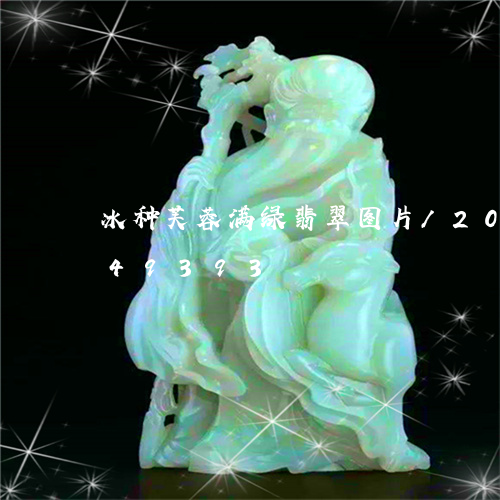 冰种芙蓉满绿翡翠图片/2023090849393