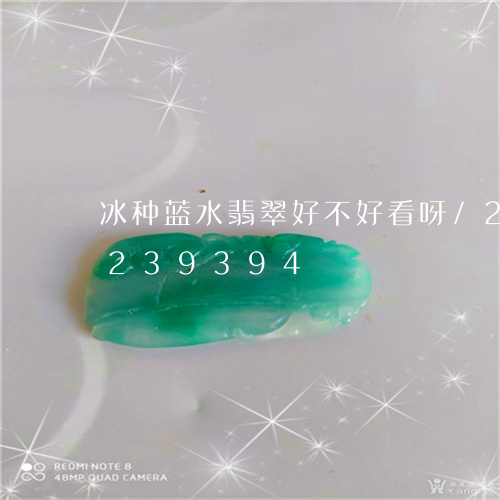 冰种蓝水翡翠好不好看呀/2023110239394