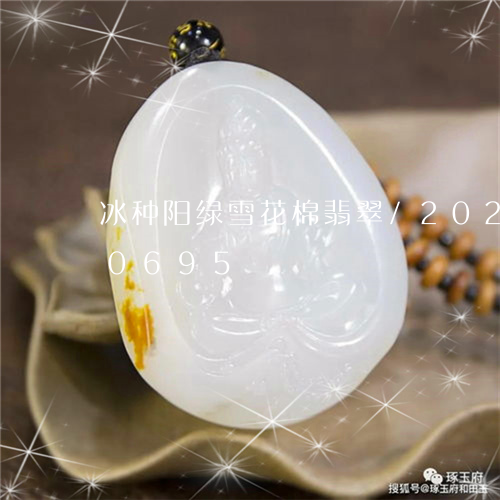 冰种阳绿雪花棉翡翠/2023103170695