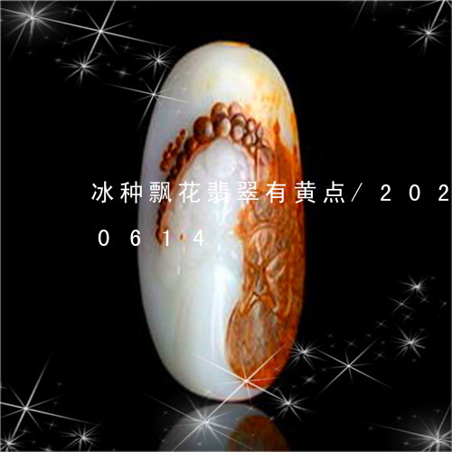 冰种飘花翡翠有黄点/2023103180614