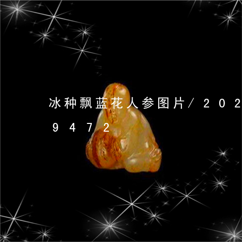 冰种飘蓝花人参图片/2023103199472