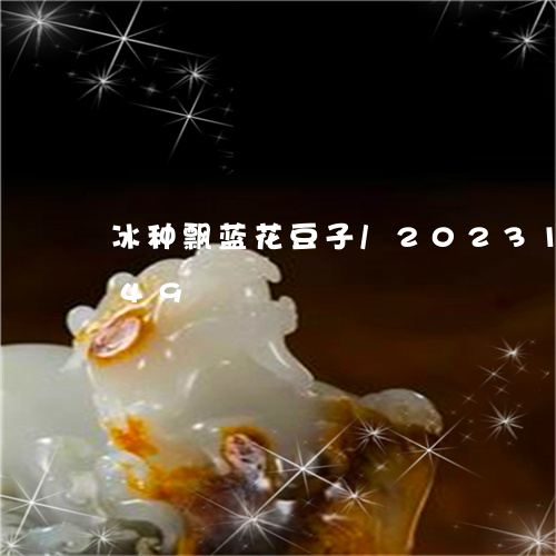 冰种飘蓝花豆子/2023121585149