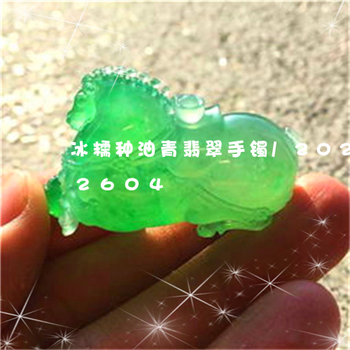 冰糯种油青翡翠手镯/2023103112604