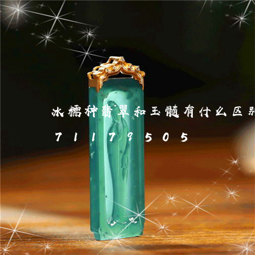 冰糯种翡翠和玉髓有什么区别/2023071179505