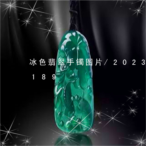 冰色翡翠手镯图片/2023042524189