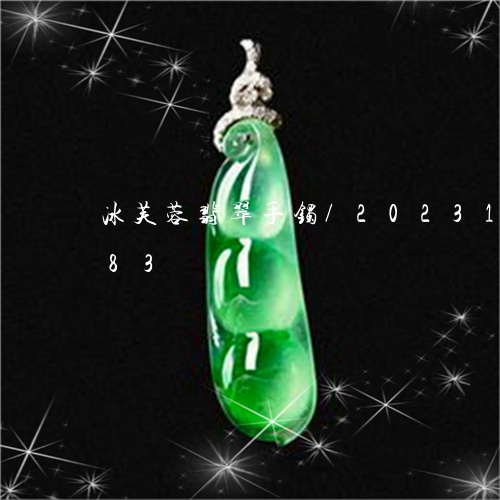 冰芙蓉翡翠手镯/2023112370483