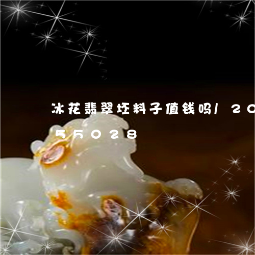 冰花翡翠坯料子值钱吗/2023112455028