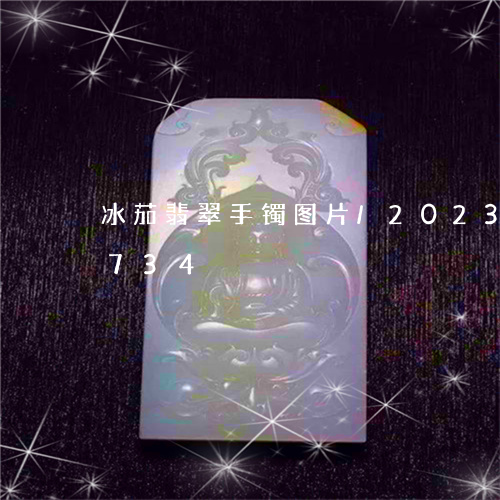 冰茄翡翠手镯图片/2023042518734