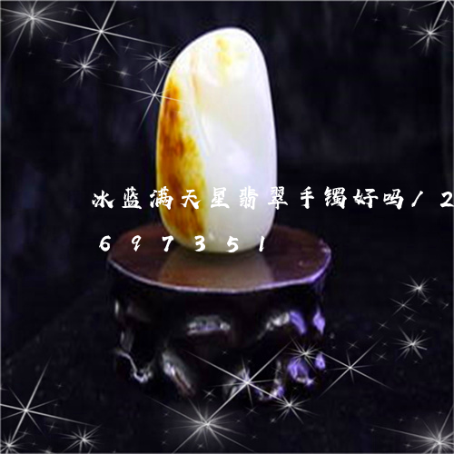 冰蓝满天星翡翠手镯好吗/2023110697351