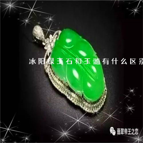 冰阳绿玉石和玉髓有什么区别