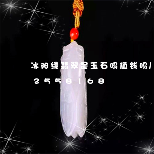 冰阳绿翡翠是玉石吗值钱吗/2023112558168