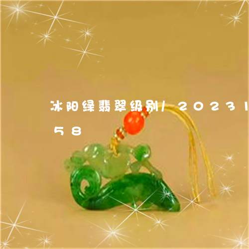 冰阳绿翡翠级别/2023121618258