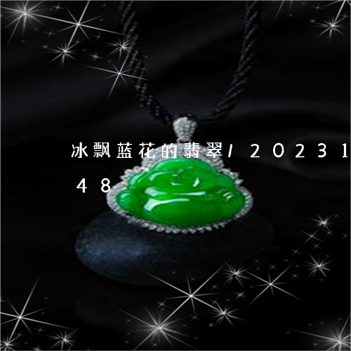 冰飘蓝花的翡翠/2023121678148