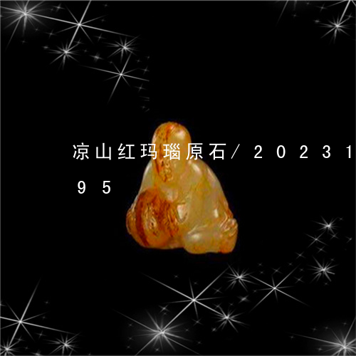 凉山红玛瑙原石/2023121601595