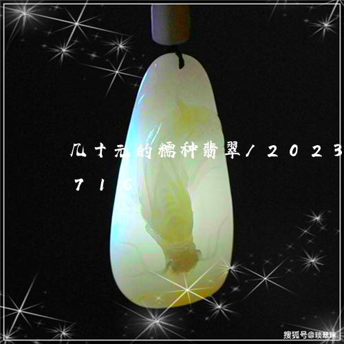 几十元的糯种翡翠/2023102472716