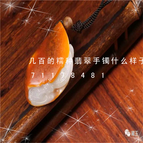 几百的糯种翡翠手镯什么样子/2023071178481