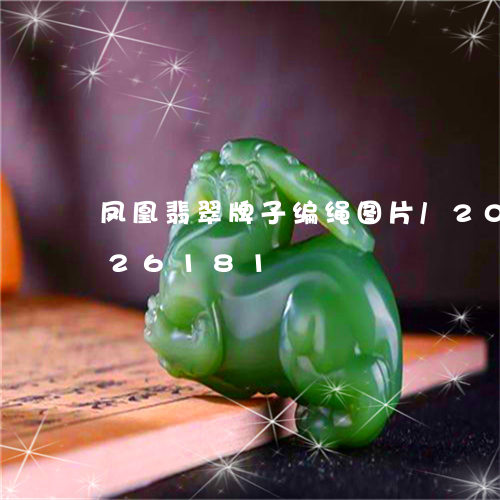 凤凰翡翠牌子编绳图片/2023112326181