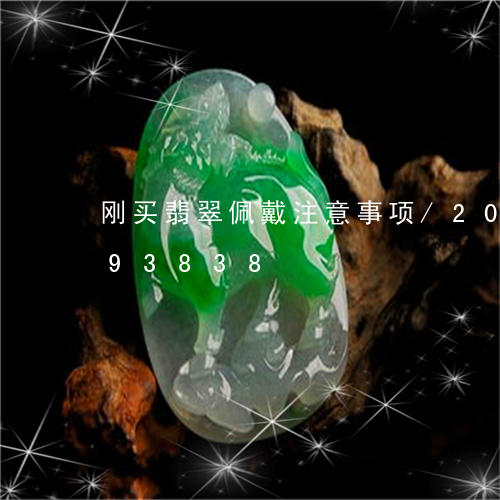 刚买翡翠佩戴注意事项/2023092993838